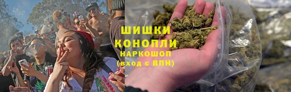 дмт Инта