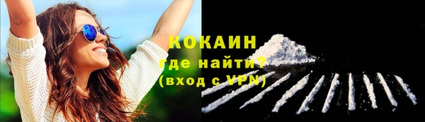 стафф Зеленокумск