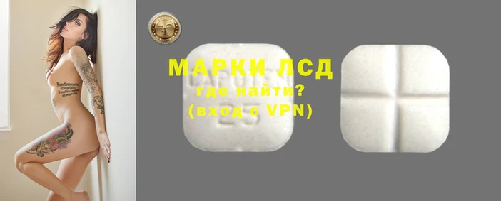 стафф Зеленокумск