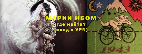 стафф Зеленокумск