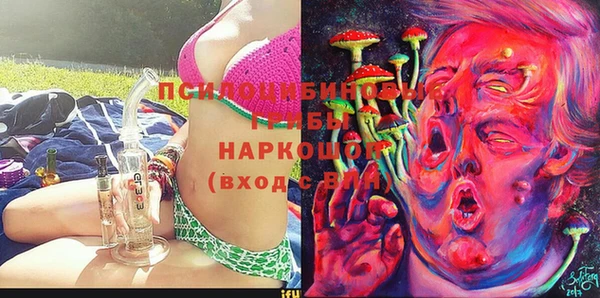 стафф Зеленокумск