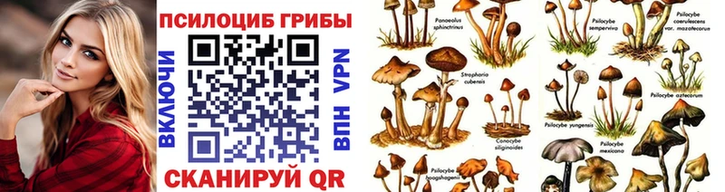 Псилоцибиновые грибы ЛСД Гай